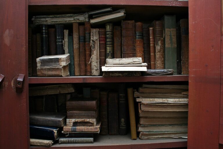 Étagère de bibliothèque garnie d'ouvrages de philosophie pour réviser le programme du bac