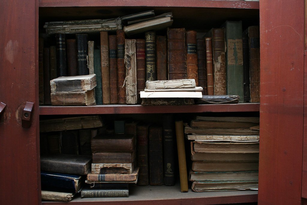 Étagère de bibliothèque garnie d'ouvrages de philosophie pour réviser le programme du bac